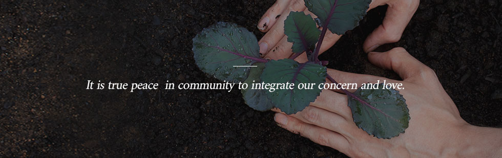 It is true peace  in community to integrate our concern and love. 